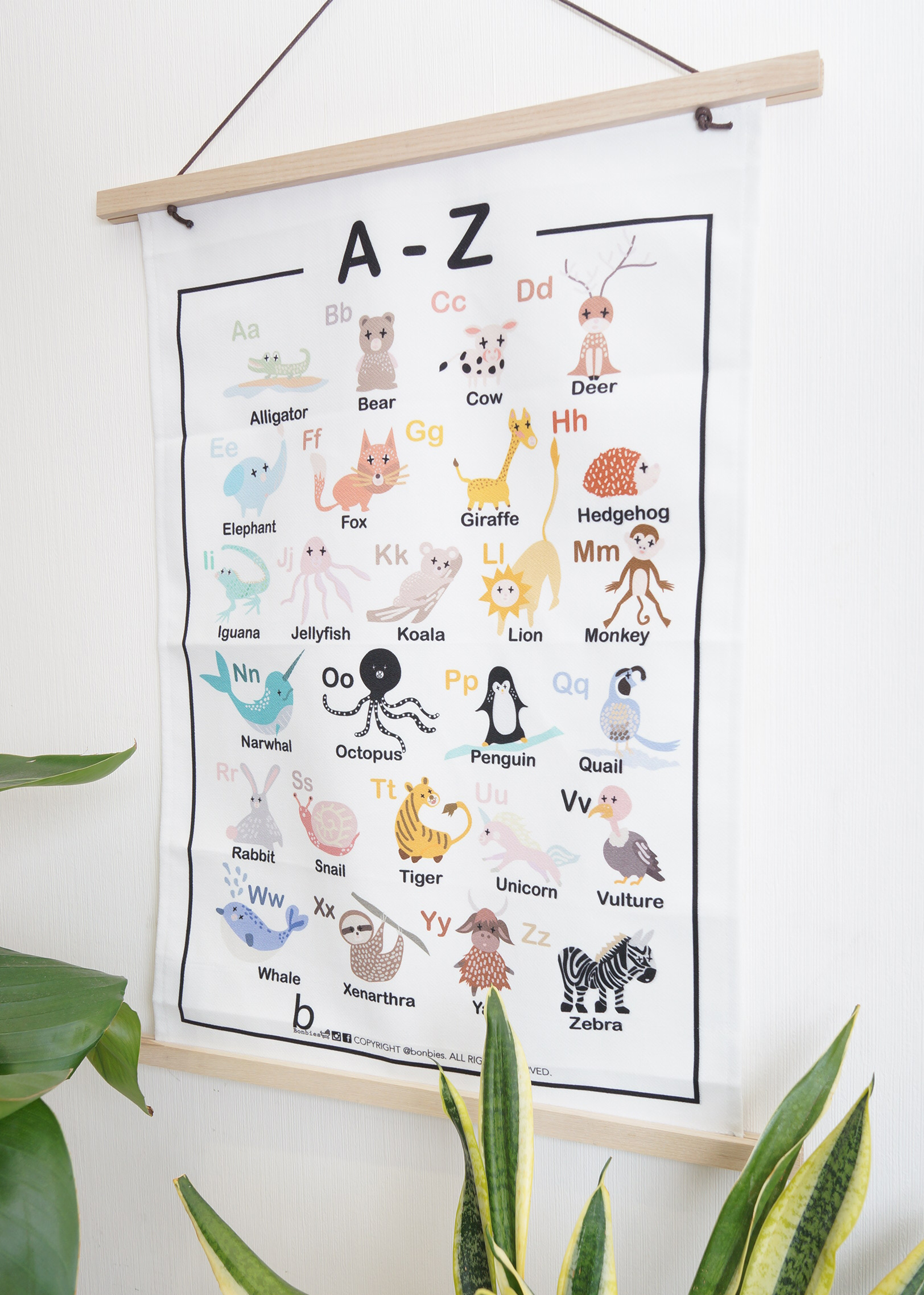 All About The  - A-Z Animals